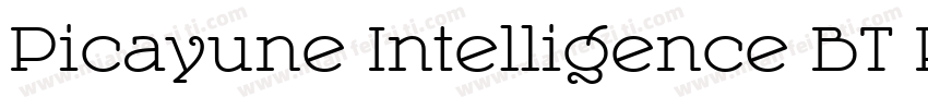 Picayune Intelligence BT Roman字体转换